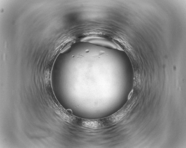 X0000088170189200705151158