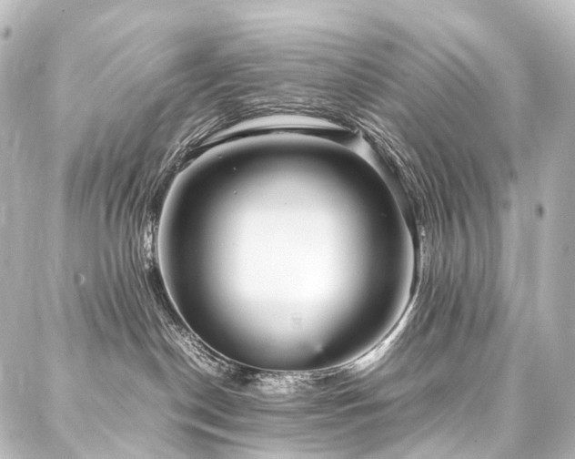 X0000088170190200705151158