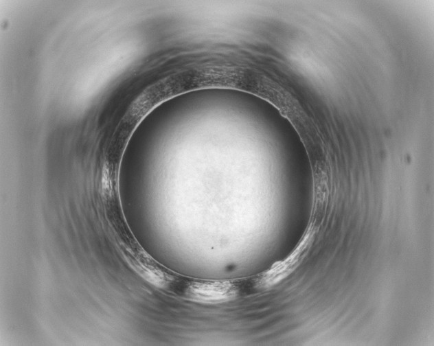 X0000088170191200705151158