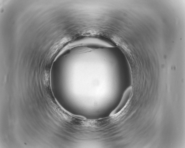 X0000088170192200705151158