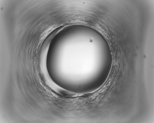 X0000088170193200705151157