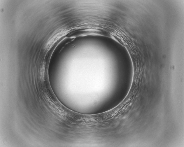 X0000088170194200705151157