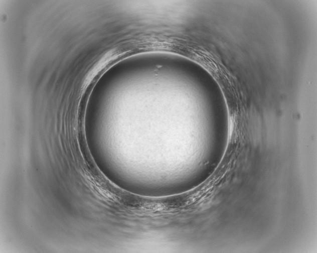 X0000088170195200705151157