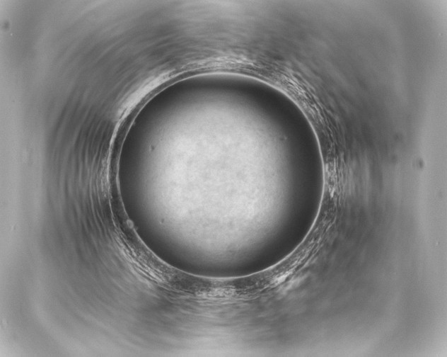 X0000088170196200705151157