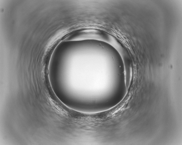 X0000088170197200705151157