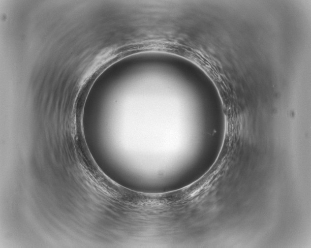 X0000088170198200705151157