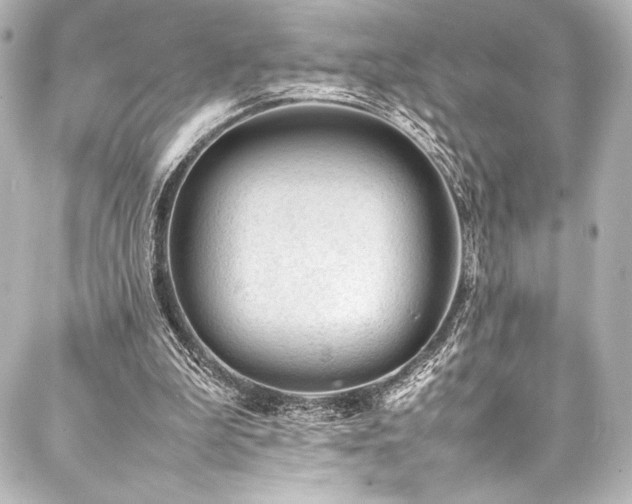 X0000088170199200705151157