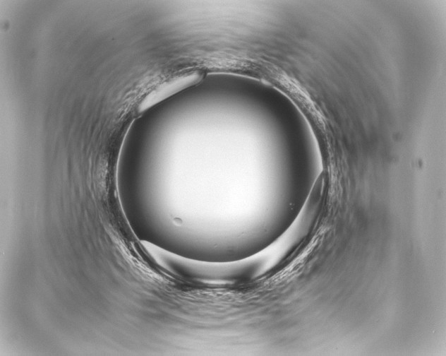 X0000088170201200705151157