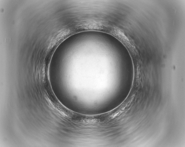 X0000088170202200705151157