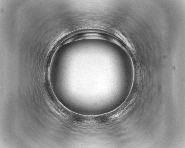 X0000088170203200705151157