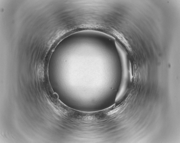 X0000088170204200705151157