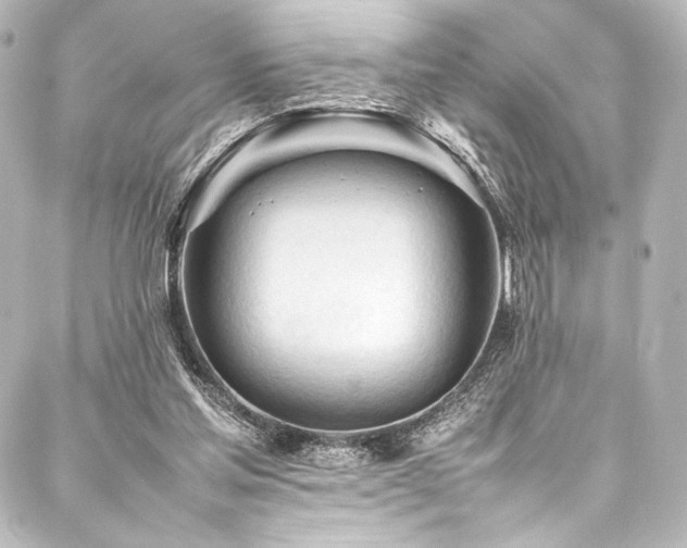 X0000088170205200705151157