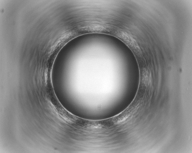 X0000088170206200705151157