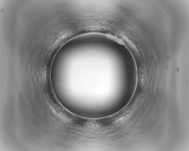 X0000088170207200705151157