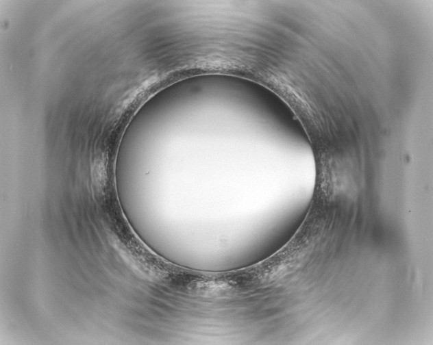 X0000088170208200705151157