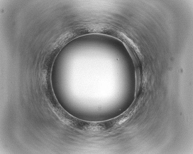 X0000088170209200705151157