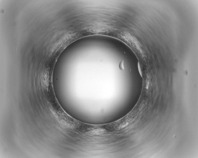 X0000088170210200705151157