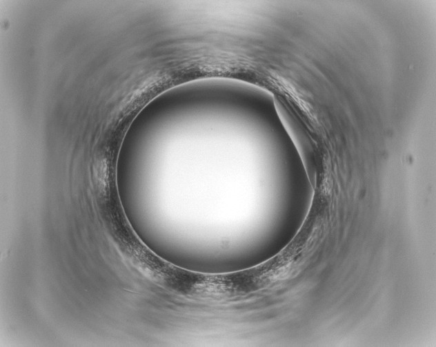 X0000088170211200705151157