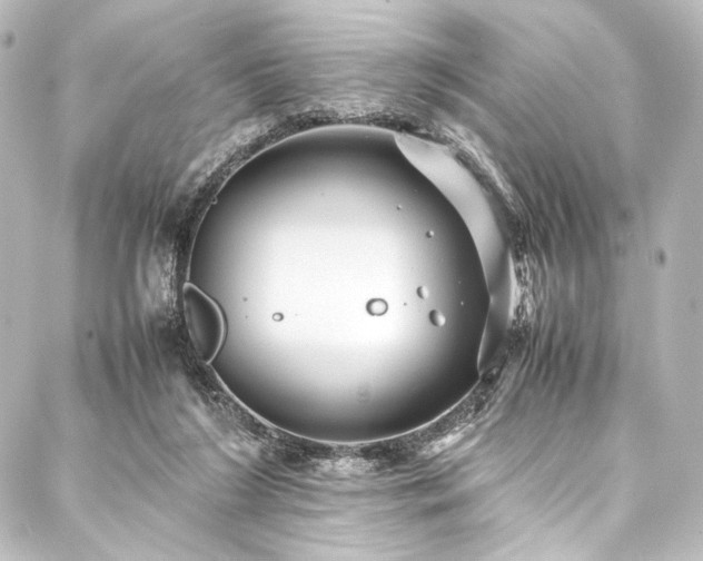 X0000088170212200705151157