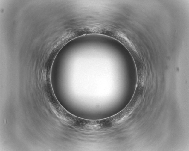 X0000088170213200705151157