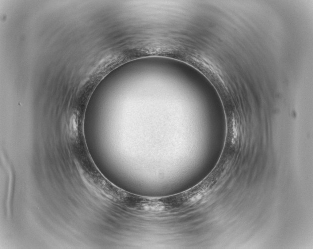 X0000088170214200705151157