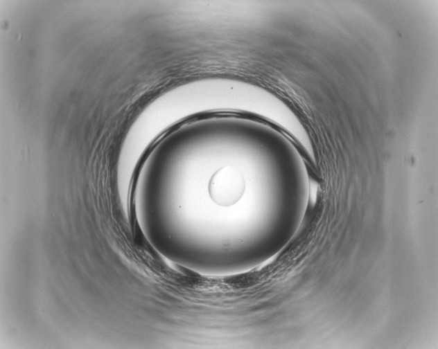 X0000088170215200705151157