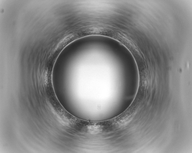 X0000088170216200705151157