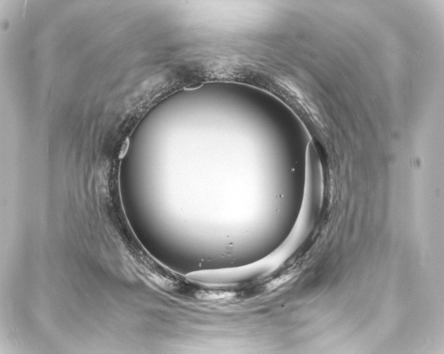 X0000088170217200705151157