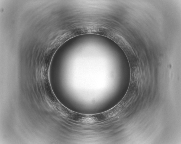 X0000088170218200705151157