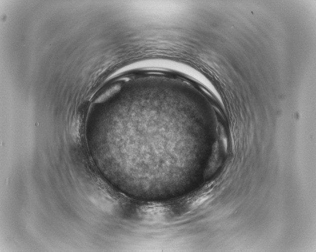 X0000088170219200705151157