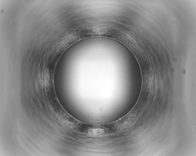 X0000088170220200705151157