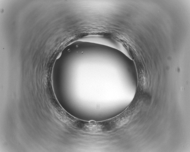 X0000088170221200705151157