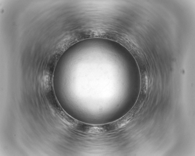 X0000088170222200705151157