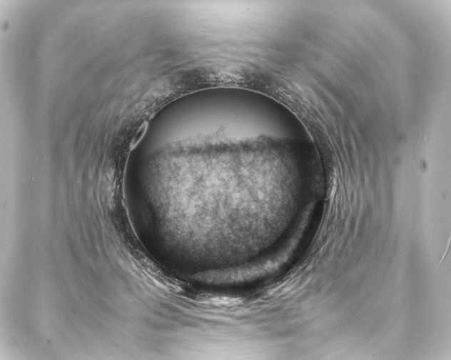 X0000088170223200705151157