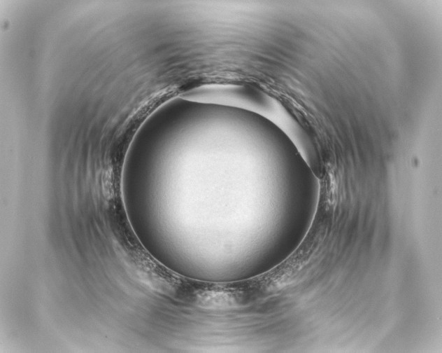 X0000088170224200705151157