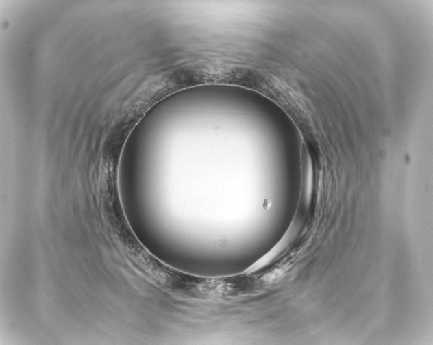 X0000088170225200705151157