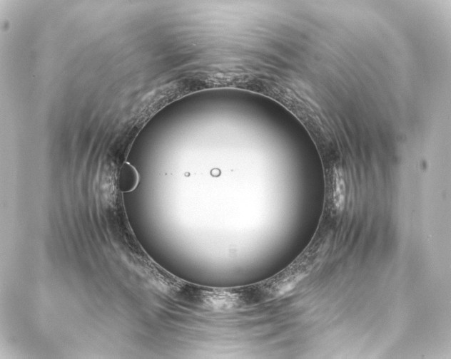 X0000088170226200705151157