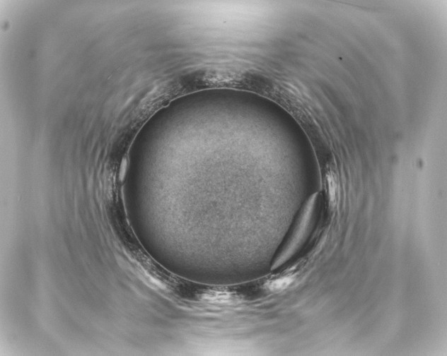 X0000088170227200705151157