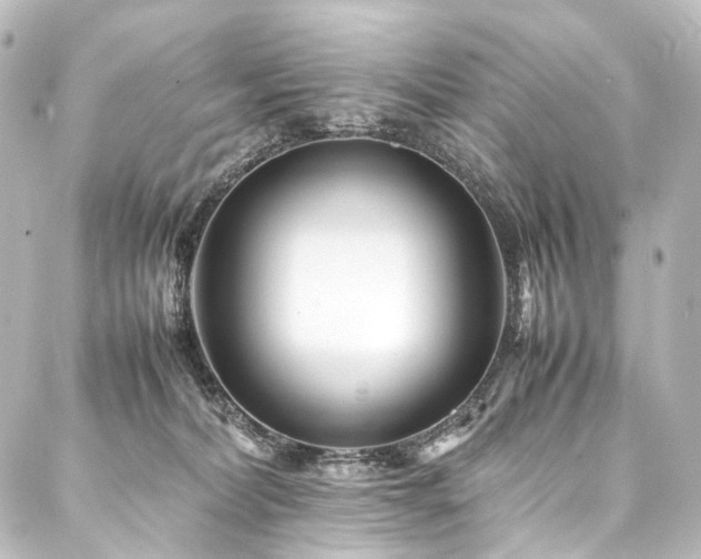 X0000088170228200705151156