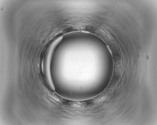 X0000088170229200705151156