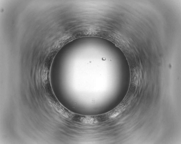 X0000088170230200705151156