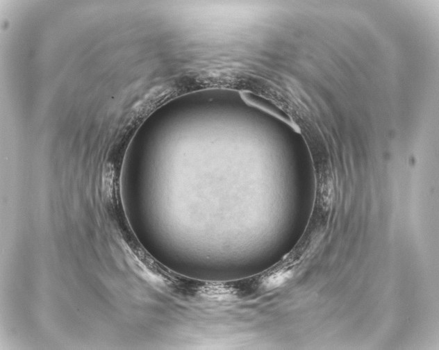 X0000088170231200705151156