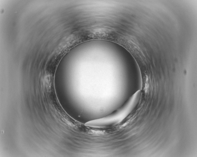 X0000088170232200705151156