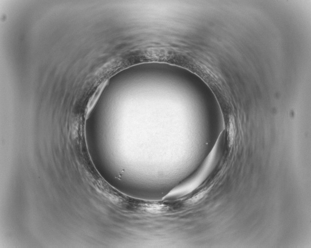 X0000088170233200705151156