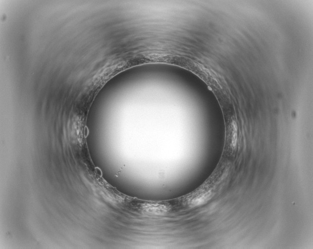 X0000088170234200705151156