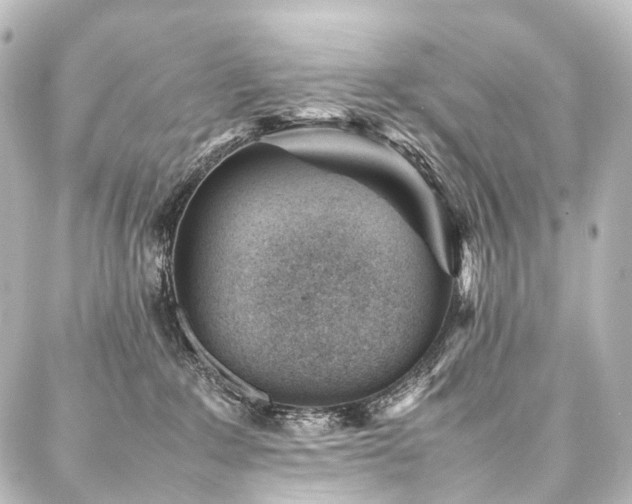 X0000088170235200705151156