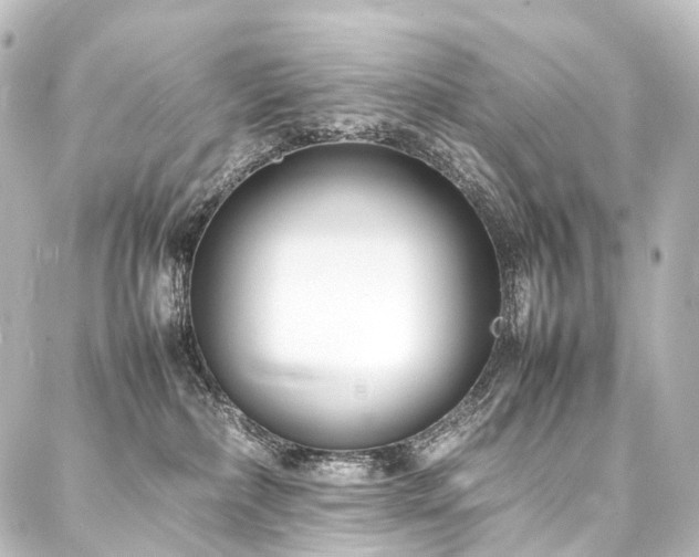 X0000088170236200705151156