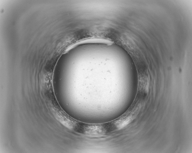 X0000088170237200705151156