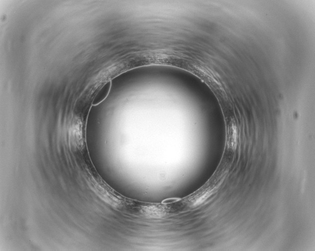 X0000088170238200705151156