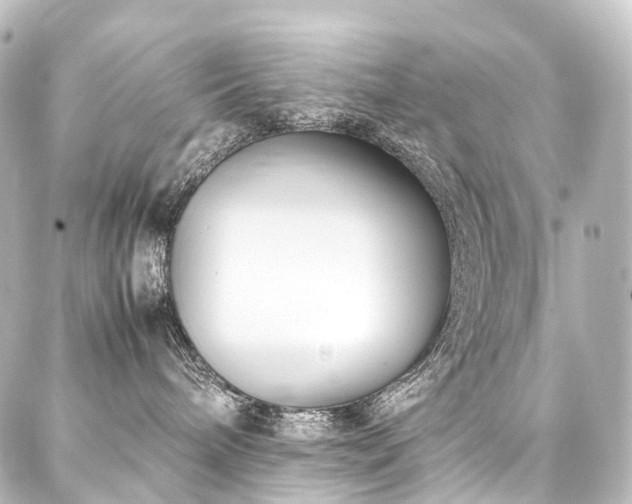 X0000088170240200705151156